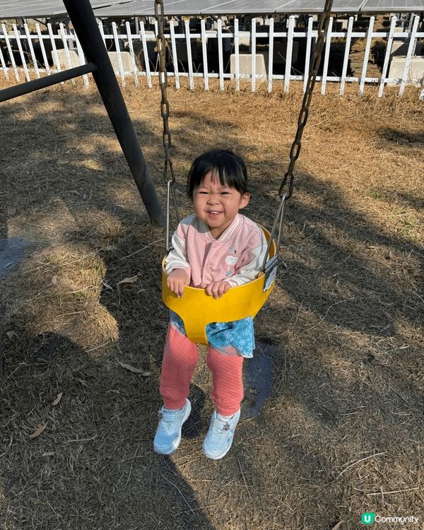 🌼 強烈推薦!大埔鳳園蝶豆花園 🌼