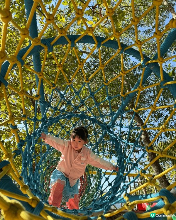 🌼 強烈推薦!大埔鳳園蝶豆花園 🌼