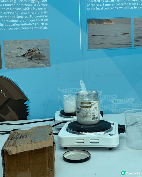 免費參加！🌍 6歲以上都玩得！