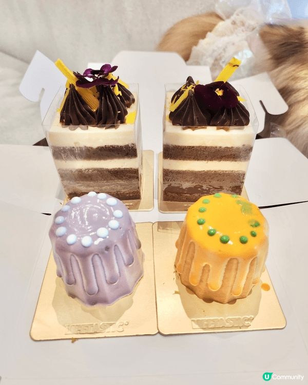 我哋最喜歡嘅餅店lifetastic，每次去Yohomall...