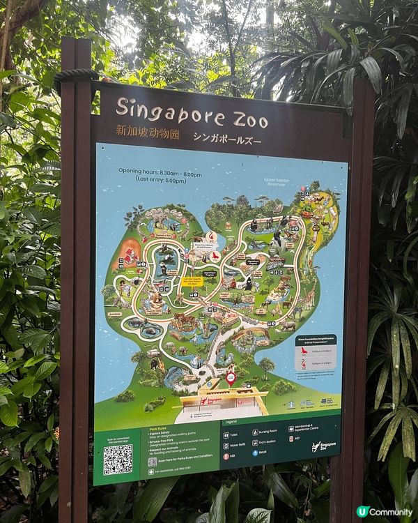 新加坡動物園，動物隨處走，又可以俾小朋友親自觸摸，加上夜間動...