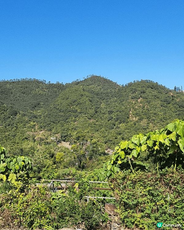 杜峰山，位於沙田村頂，風景撩人，適合新手，行山少的人仕去，大...