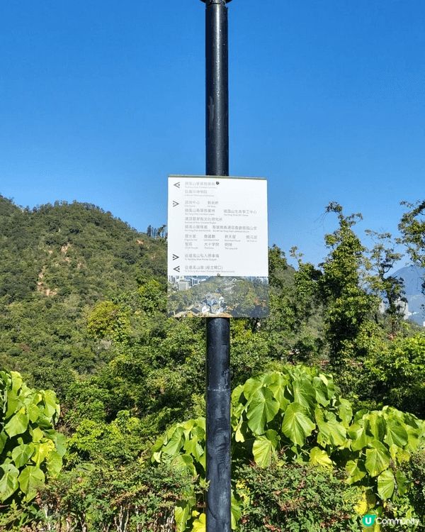 杜峰山，位於沙田村頂，風景撩人，適合新手，行山少的人仕去，大...