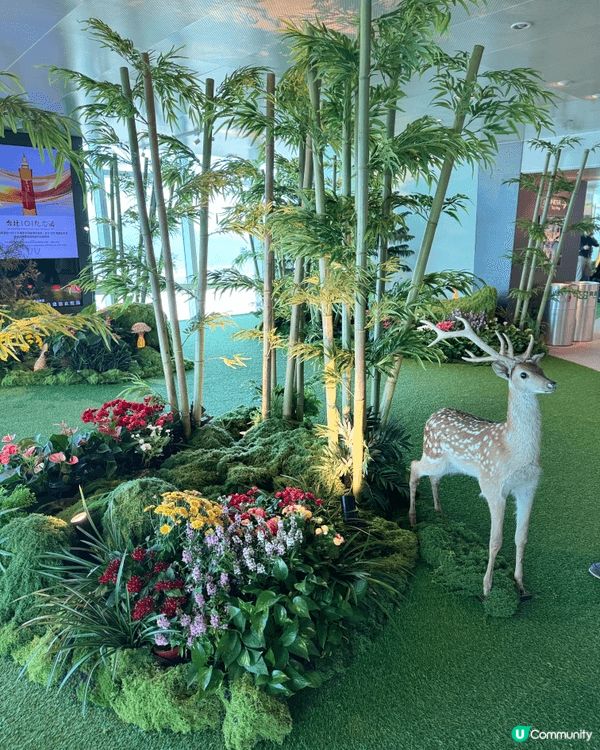 去台北101，很多打卡的佈置，還可以飽覽台灣成個景色。黎到可...