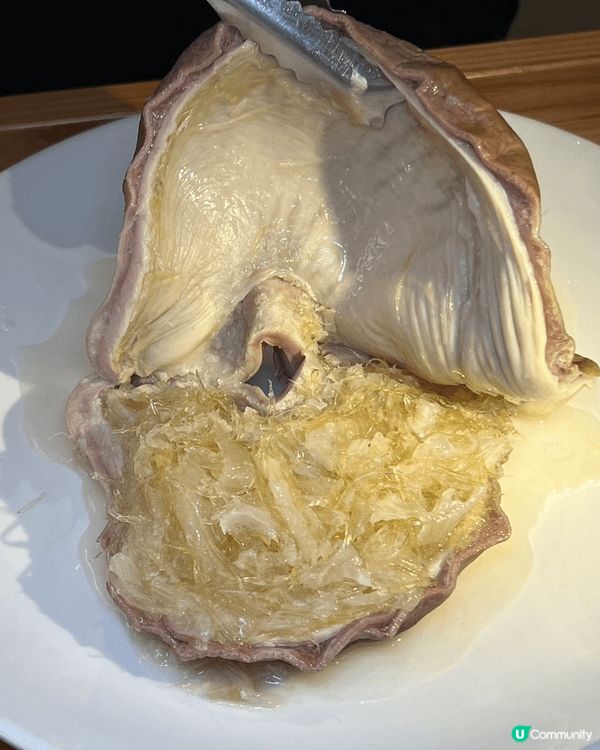 【🍲港人北上春節團圓飯・首選順德公】