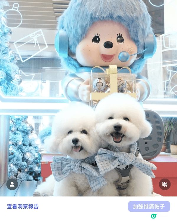 推介給不同的人士到不同的商場佈置打卡，留下紀念以及到不同的商...