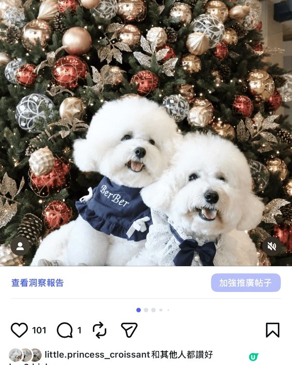 推介給不同的人士到不同的商場佈置打卡，留下紀念以及到不同的商...