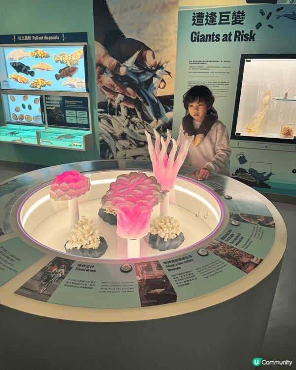 【香港海事博物館】維港邊嘅歷史寶藏🌊