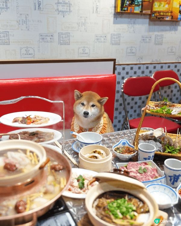 全港獨有 打邊爐 煲仔飯 靚湯🍲