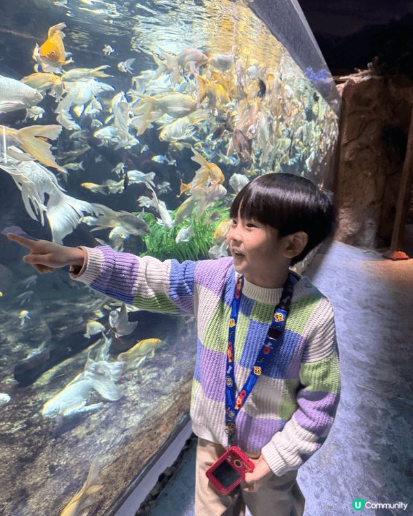 「珠海長隆3日2夜親子遊」🐬海洋王國睇鯨鯊、同企鵝打卡，飛船...