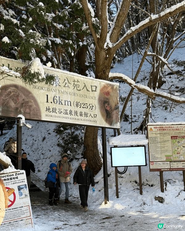 如果你鍾意去日本旅行，咁我推薦人生必去地方「地獄谷野猿公苑」...