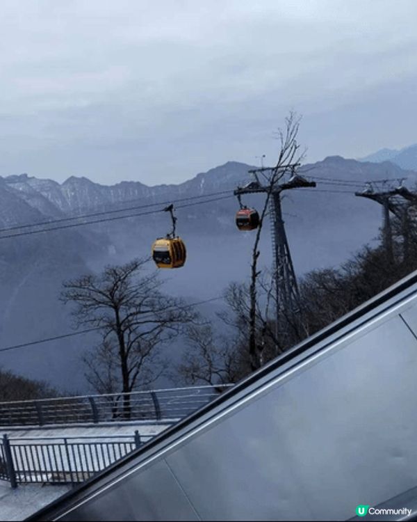 四川涼山雷波龍頭山，海拔逾3700米，大斷崖絕壁如「世界邊緣...