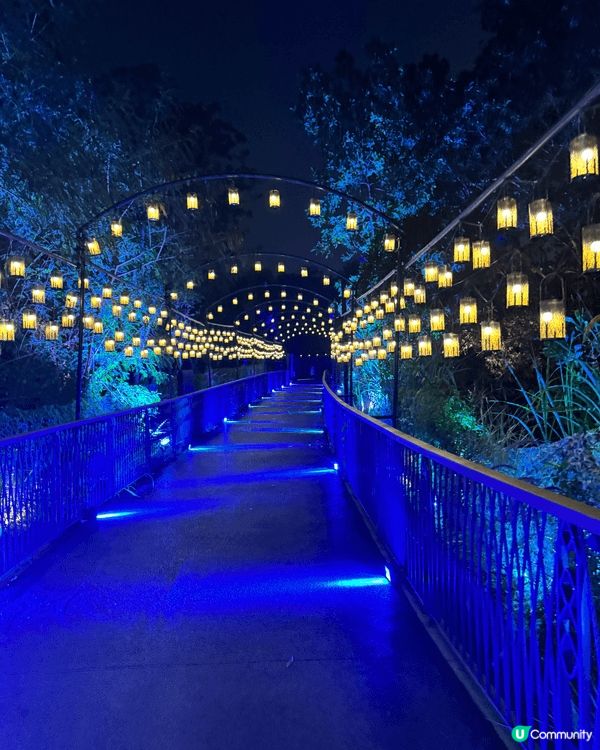 近排去咗哈利波特世界中「禁忌森林」，因為係哈迷，夜晚入場好有...