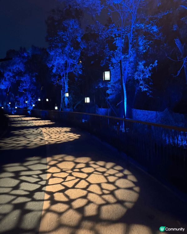 近排去咗哈利波特世界中「禁忌森林」，因為係哈迷，夜晚入場好有...