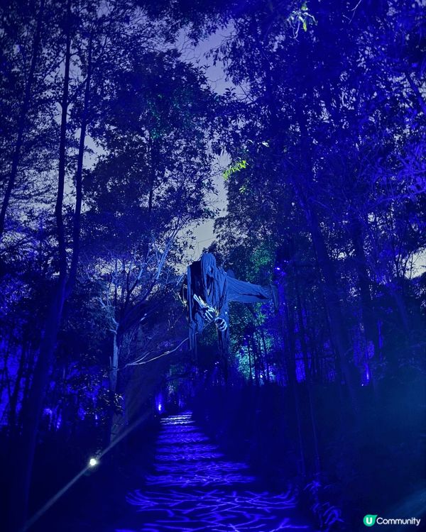 近排去咗哈利波特世界中「禁忌森林」，因為係哈迷，夜晚入場好有...