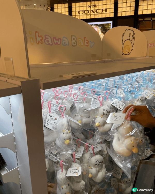 Chiikawa Baby限定店，現場超爆滿，心都溶晒～（預...