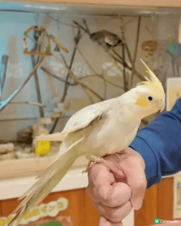 日本名古屋室內動物館