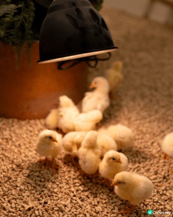 日本名古屋室內動物館