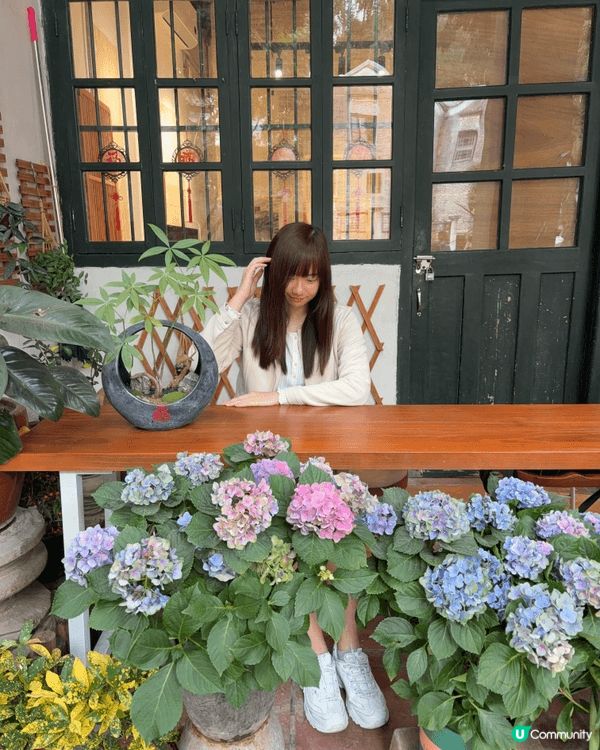 今個Weekend喺KKday買咗個佛山王府井紫薇港逸扉酒店...