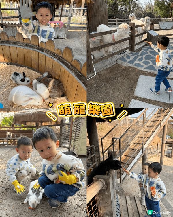 💥港澳家庭出遊首選！珠海海泉灣樂園+溫泉一站式新春遊玩全攻略...