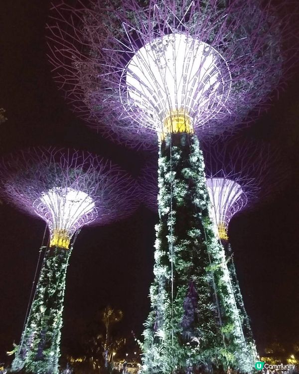 日元咁抵, 當然要去多幾次! 到大阪 Chilkawa 本店...