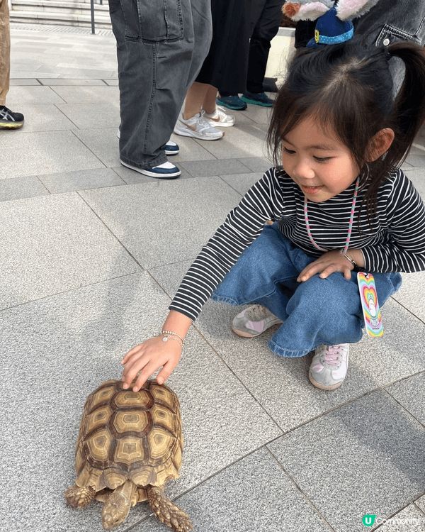 上星期六、日如心園搞左個「如心園春節嘉年華」，我覺得超值得去...