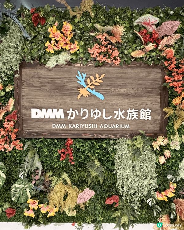 我推介去沖繩的話，必定要去DMM水族館，個到地方唔係好大，但...