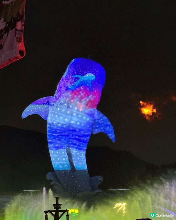 First time 一家人珠海長隆👶 虎鯨show勁好睇，...