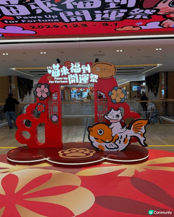 沙田好運中心嘅喵來福到開運祭，L3中庭變身貓貓天堂，有好多隻...