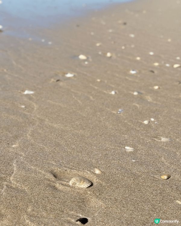 呢個地方係澳洲North Stradbroke Island...