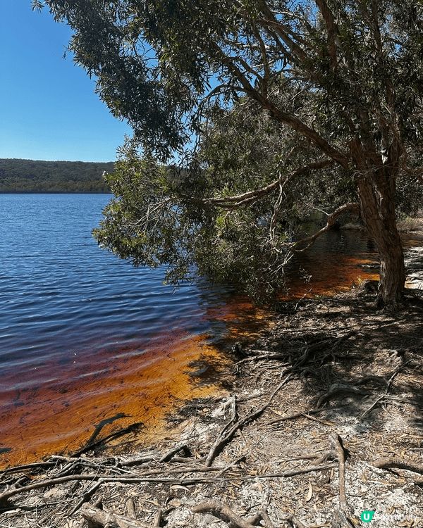 呢個地方係澳洲North Stradbroke Island...