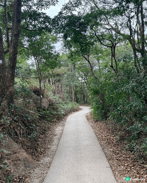 昂坪360間唔中有票價優惠，得閒去行下都唔錯，回程仲升級全景...