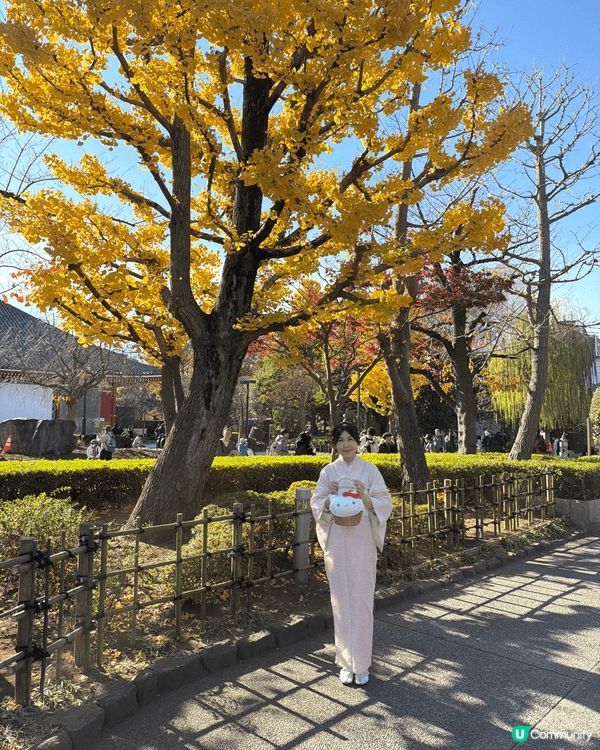 上個月去東京淺草寺，著kitty 和服影相打卡，超級開心