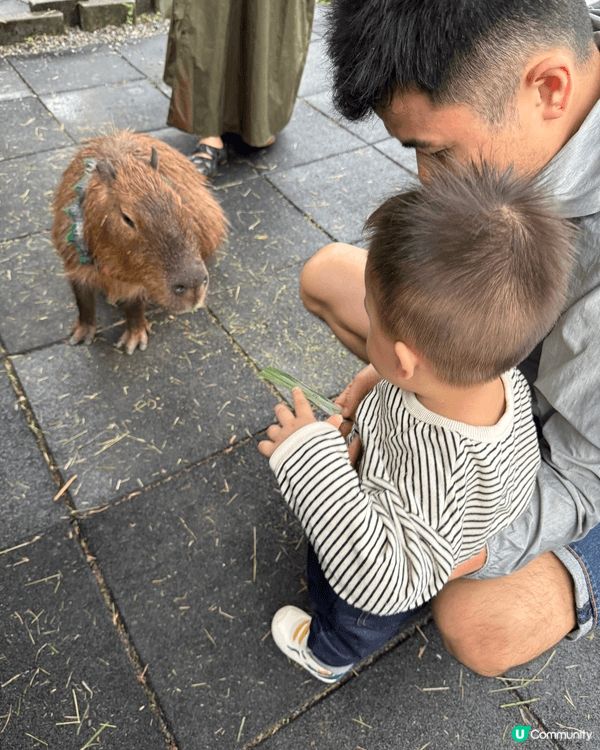 第一次帶小朋友去旅行，揀個近嘅地方嘗試。