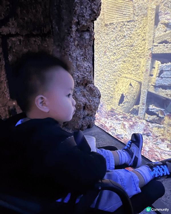 第一次帶小朋友去旅行，揀個近嘅地方嘗試。