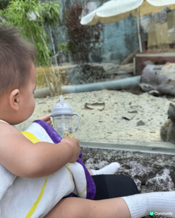 第一次帶小朋友去旅行，揀個近嘅地方嘗試。