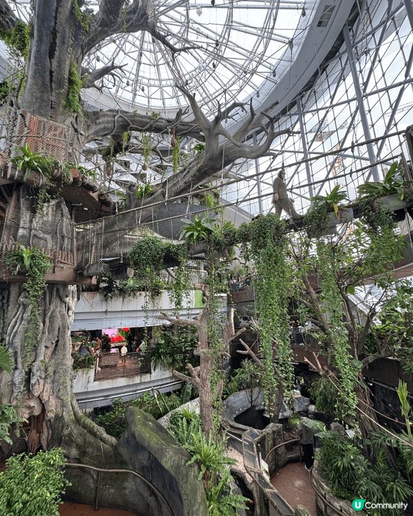 杜拜之旅非常有驚喜，唔止係由土豪國嘅固定印象，除咗有好多又大...