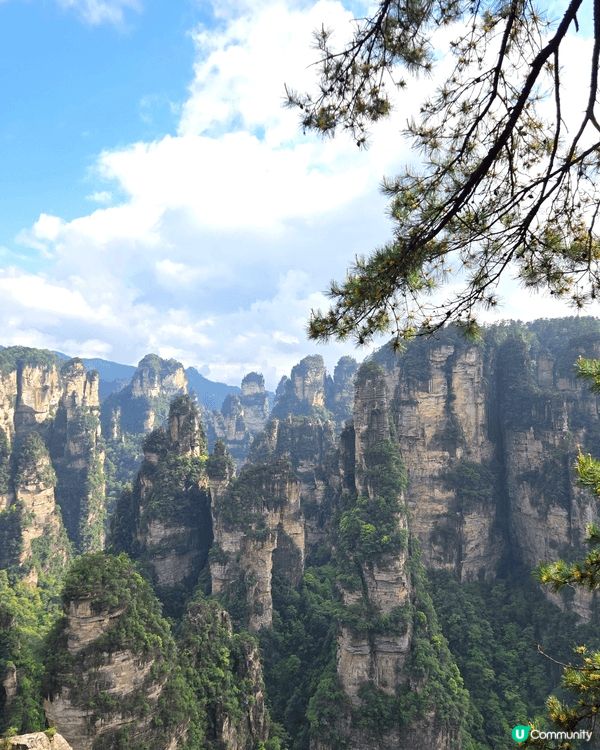 張家界的國家森林公園, 那舉世罕見的石英砂岩峰林地貌，它們如...