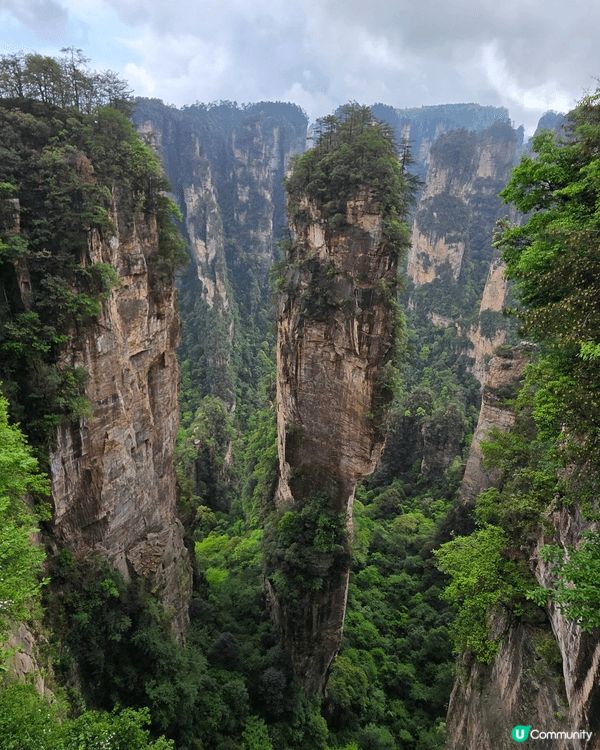 張家界的國家森林公園, 那舉世罕見的石英砂岩峰林地貌，它們如...