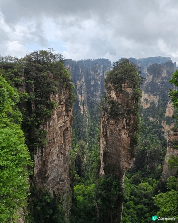 張家界的國家森林公園, 那舉世罕見的石英砂岩峰林地貌，它們如...
