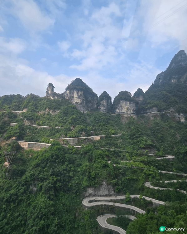 張家界的國家森林公園, 那舉世罕見的石英砂岩峰林地貌，它們如...