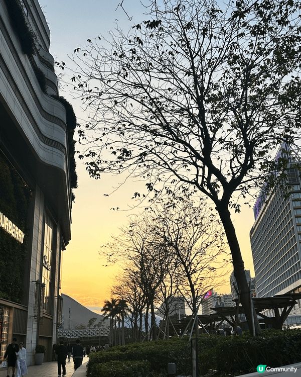 尖沙咀黃昏景色與星光大道的景色非常迷人，原因在於能同時欣賞維...