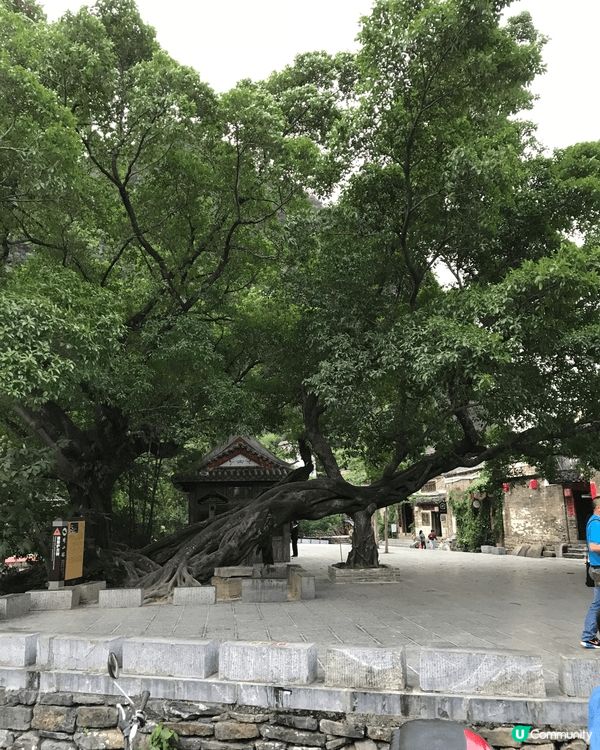 景色怡人，地方简樸，而 美食及飲品如咖啡一流