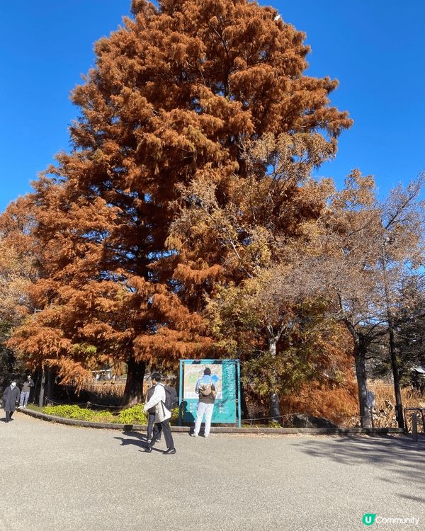 上面嘅圖片係東京拍攝 下一個天然景點 留喺上面的地方感受當地...