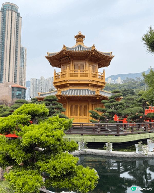 繁囂鬧市中的綠洲，以往想同屋企人食齋都會去大嶼山寶蓮寺，昨天...