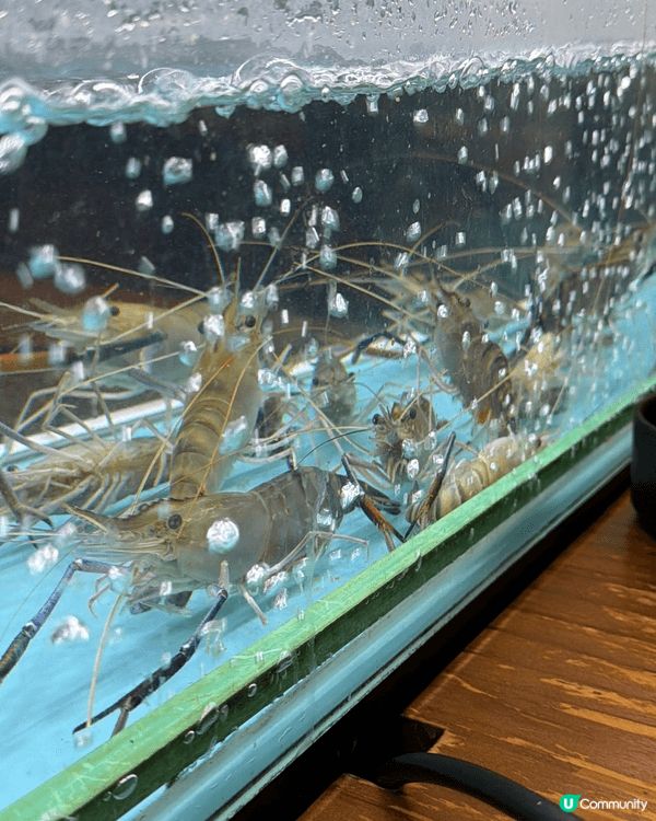 想食BBQ🔥又想食海鮮🦞又想打邊爐🍲嘅朋友千祈唔好錯過佐敦嘅...