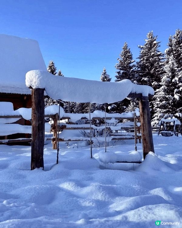 冬天想滑雪睇雪景🏂🏻除咗飛日本仲可以去邊？上個月我同班fri...
