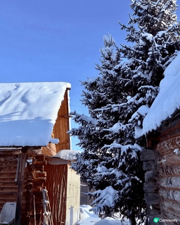 冬天想滑雪睇雪景🏂🏻除咗飛日本仲可以去邊？上個月我同班fri...