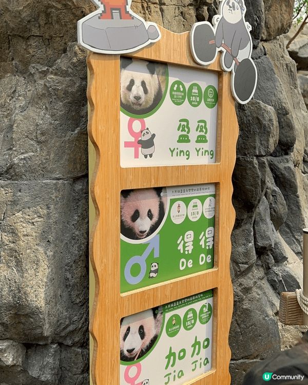 打卡熱點強烈推介海洋公園🐬,主要有三大特色：～