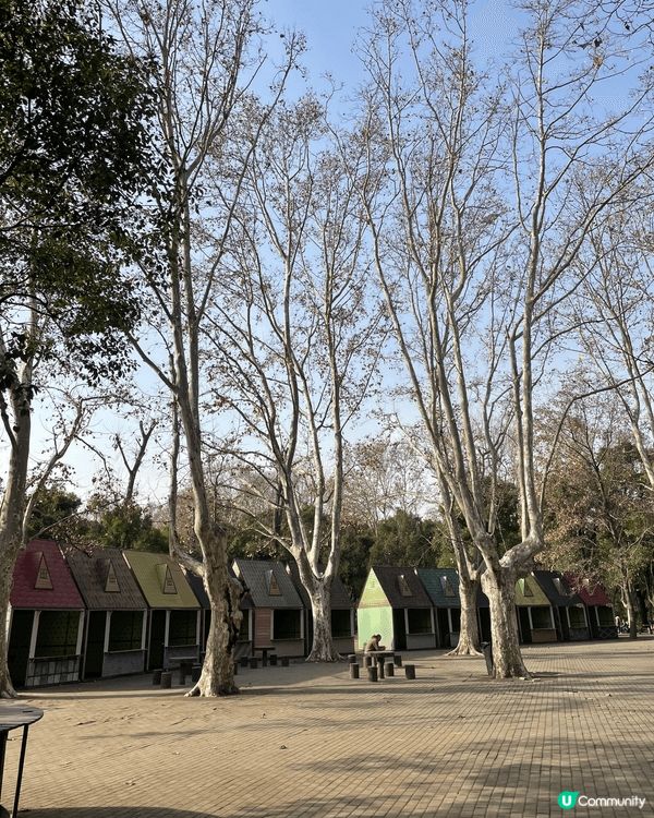 今次介紹的地方是上海共青國家森林公園，是合適情侶、一家大小、...